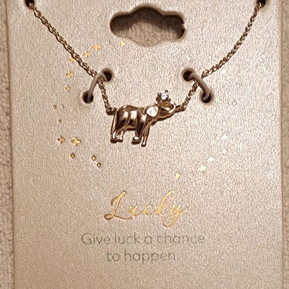 Sterling Silver "Lucky" Necklace